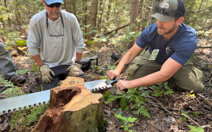 Tree-Ring Fire-Scar History of the Upper Great Lakes Panel Discussion